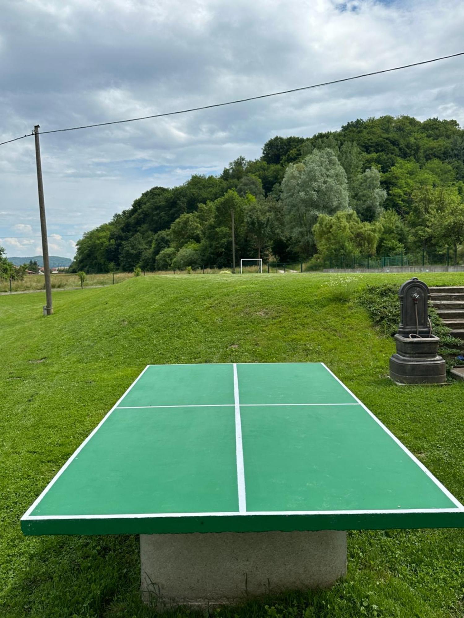Ruralna Kuca 'Villa Zagorka' Za Odmor Sa Bazenom I Bocalistem Donja Pacetina Esterno foto