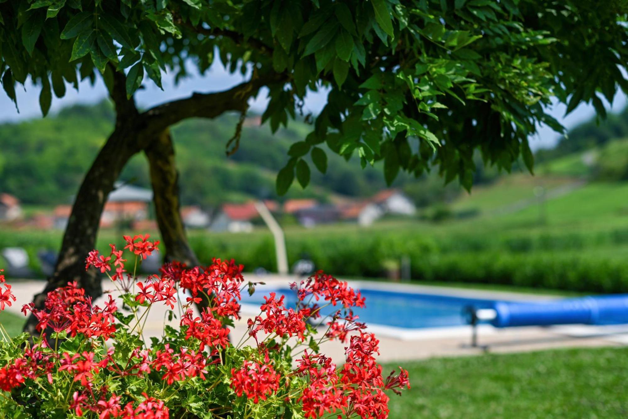 Ruralna Kuca 'Villa Zagorka' Za Odmor Sa Bazenom I Bocalistem Donja Pacetina Esterno foto